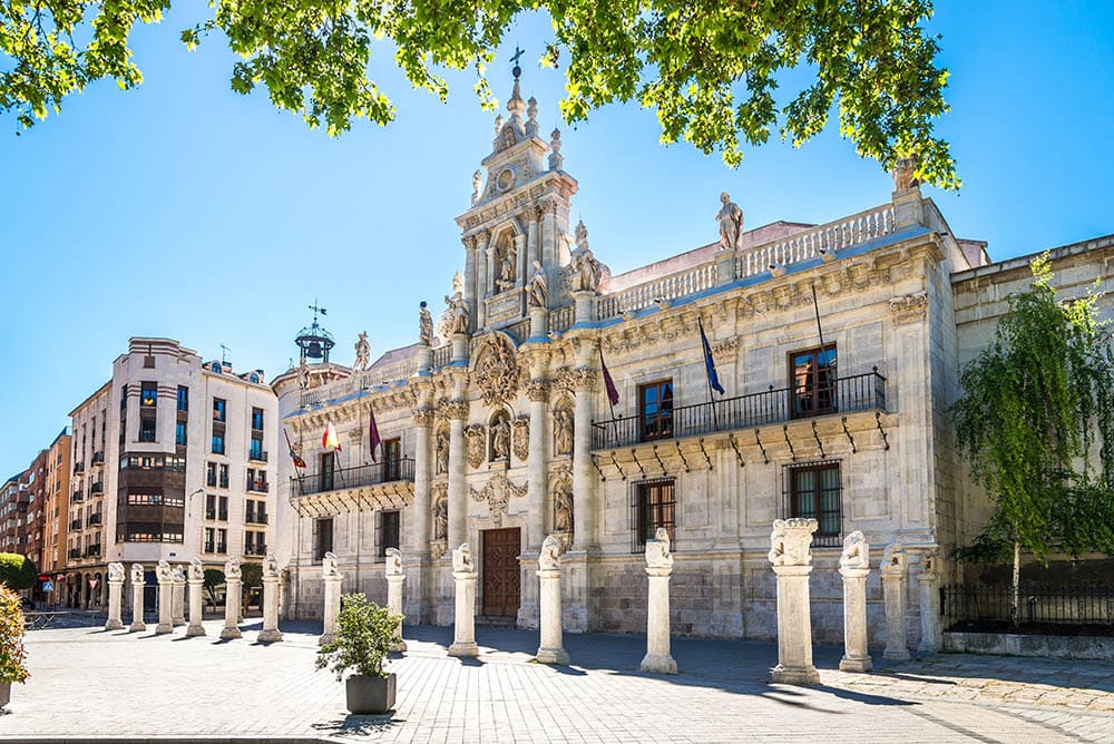 Posdoctoral researcher offer at University of Valladolid, Spain